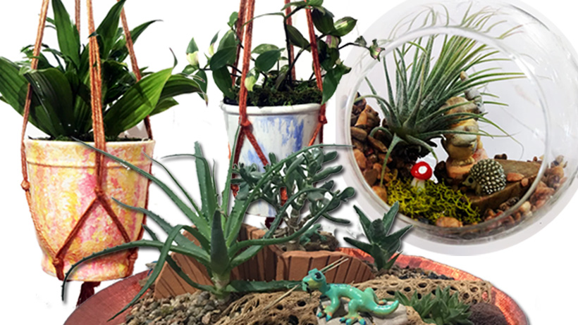 Plant & Indoor Garden Workshop’s with LuLu’s House