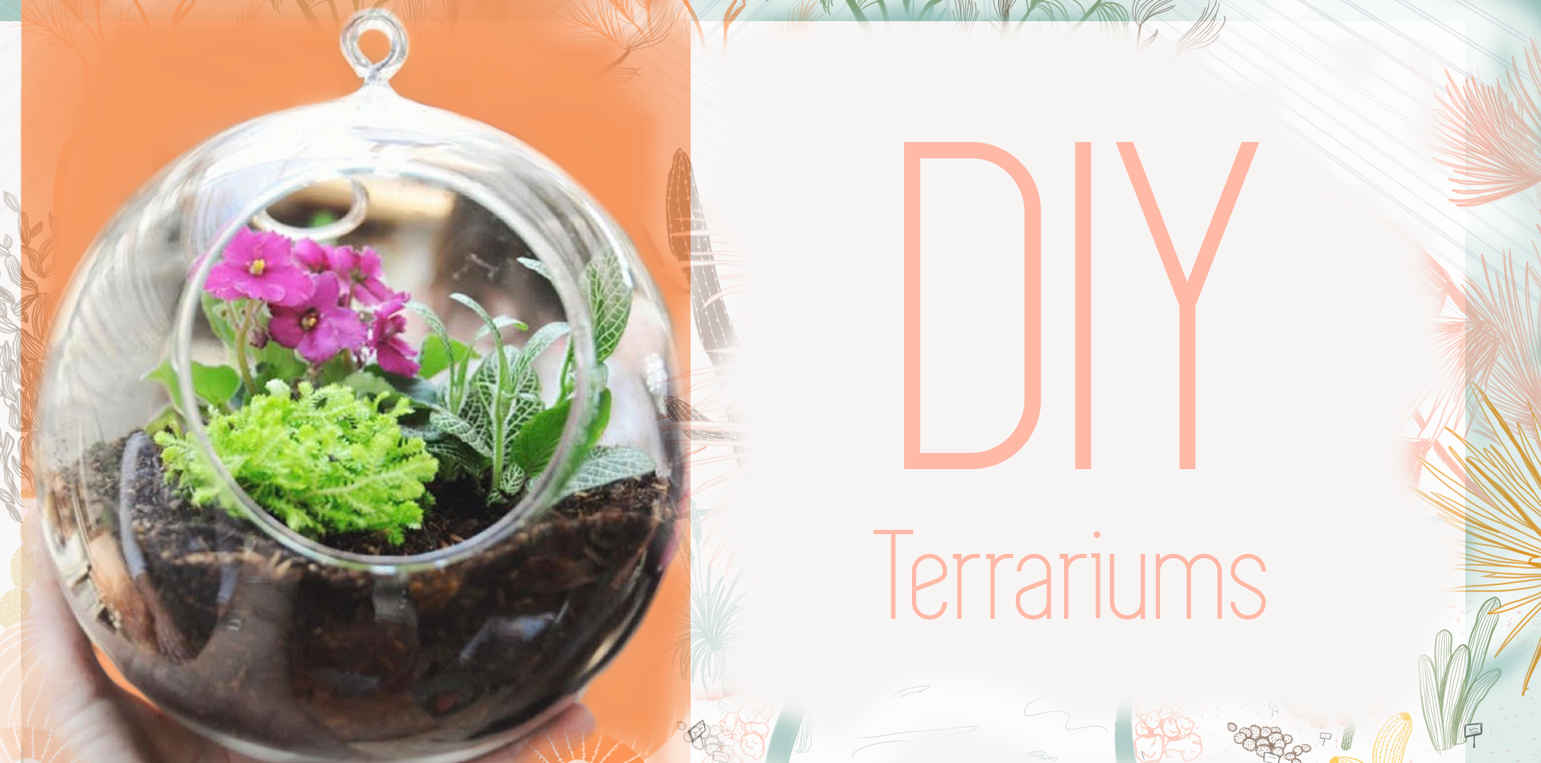 DIY Terrariums Workshop